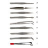 LABORATORY FORCEPS - Labbox Export