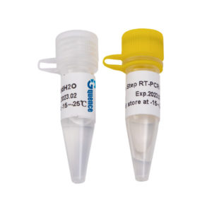 x-VITA PCR Mastermix for long fragments (2X)