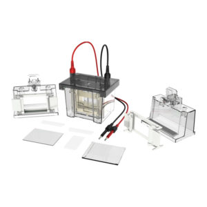 VERTICAL ELECTROPHORESIS SYSTEM, VOLT V80