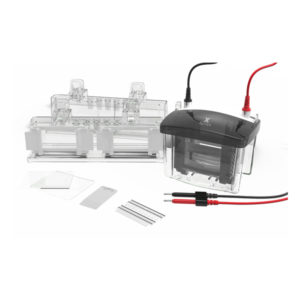 VERTICAL ELECTROPHORESIS SYSTEM, VOLT VX80