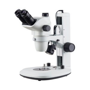 HIGH-END STEREOMICROSCOPE, L100